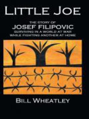 cover image of Little Joe